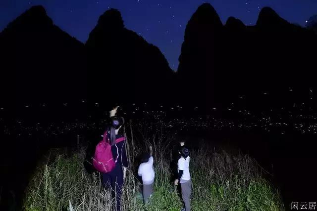 僵尸维京
