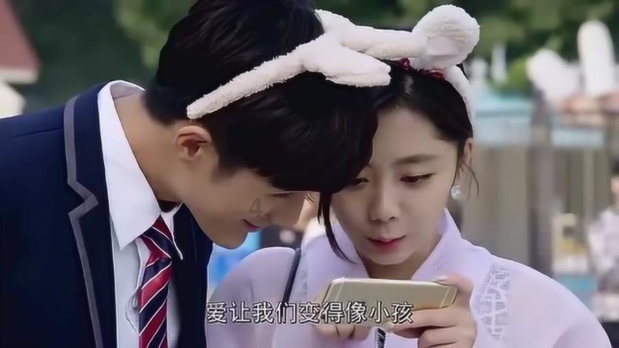 破碎的动物图形2