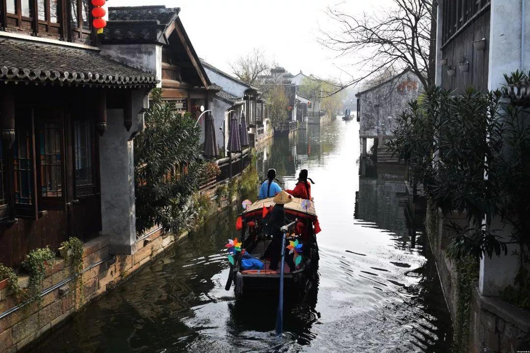 动物帮帮忙保卫家园